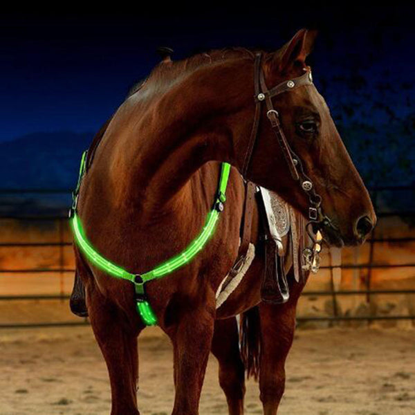 LED Horse Breastplate Collar