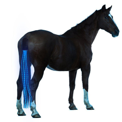 Horse Tail USB Lights Chargeable LED Crupper