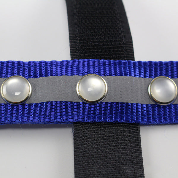 Paardensport Equitation LED Horse Head Straps Multi-color