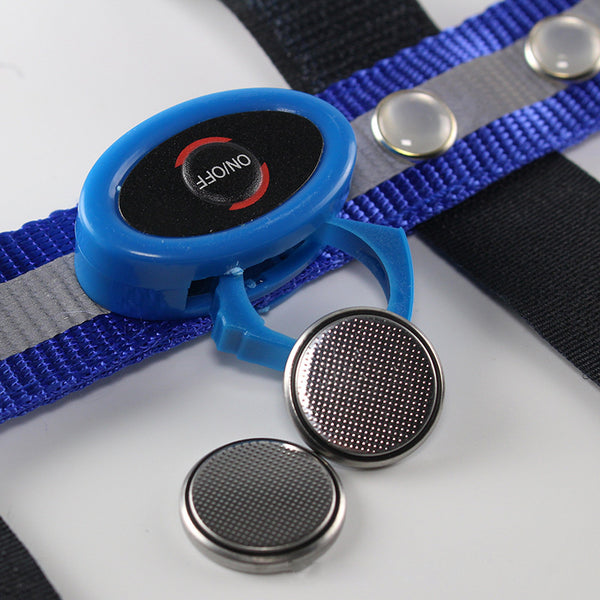 Paardensport Equitation LED Horse Head Straps Multi-color