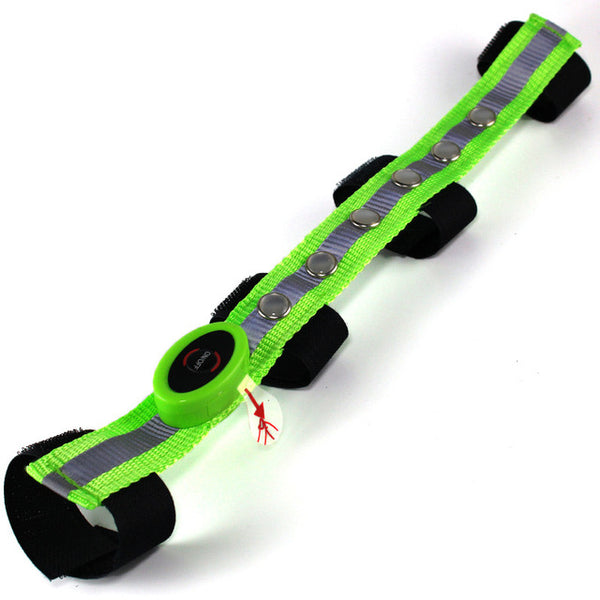 Paardensport Equitation LED Horse Head Straps Multi-color