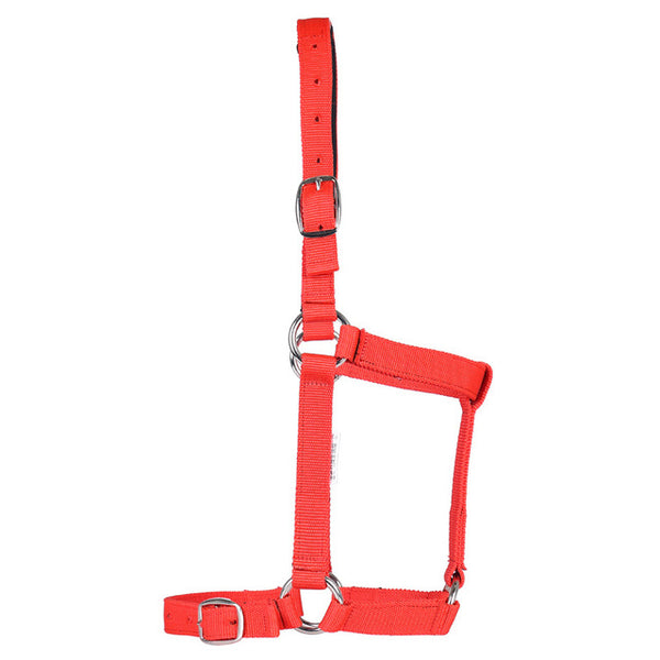 Halter Adjustable Headstall With Zinc Alloy Ring Buckle